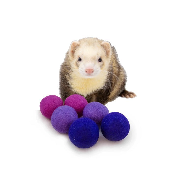 RARE Mini sale Squishable Ferret 7