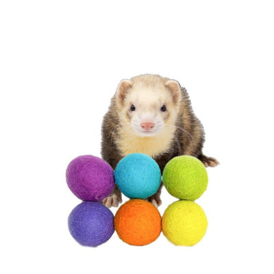 Ferret Small Stashing Balls (Rainbow Land) - Set of 6 - The Pampered FerretFerret Small Stashing Balls (Rainbow Land) - Set of 6Ferret ToysThe Pampered Ferret