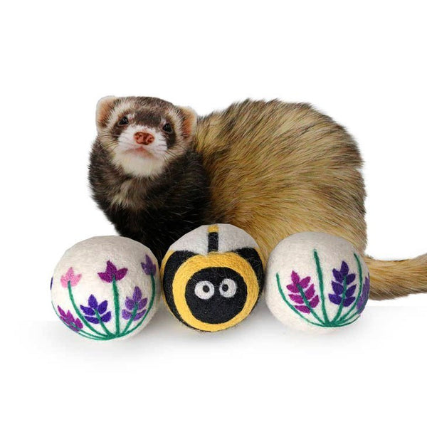 Ferret chasing ball toy best sale