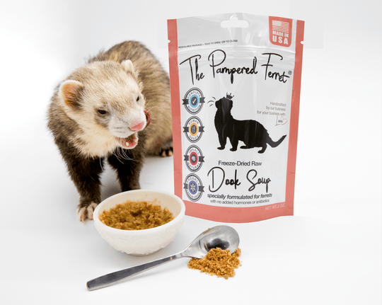 Ferrets favorite food best sale